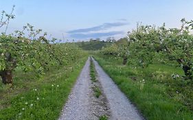 Orchard Luxe Glamping Pod