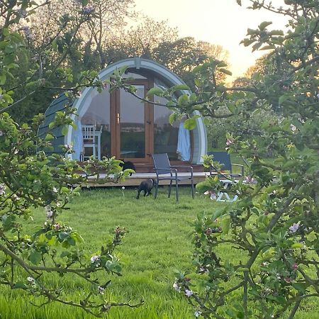 Orchard Luxe Glamping Pod Hotel ดังกานนอน ภายนอก รูปภาพ