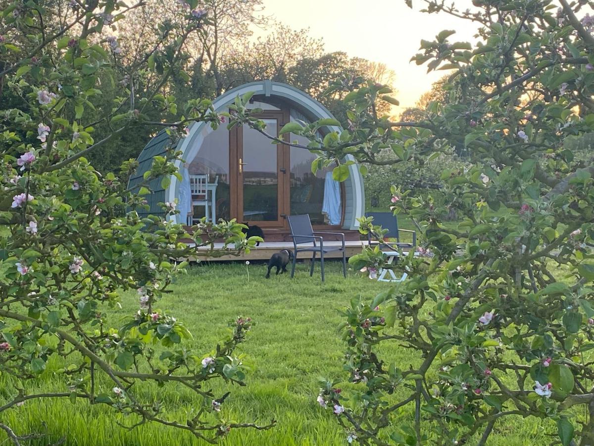 Orchard Luxe Glamping Pod Hotel ดังกานนอน ภายนอก รูปภาพ